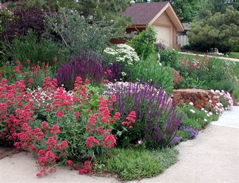 Creating an Environmentally Friendly Garden through Xeriscaping ...