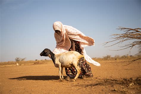 Food crisis tightens its grip on 19 ‘hunger hotspots’ as famine looms ...