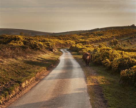 Exploring the South Downs National Park: 9 of our favourite hiking ...