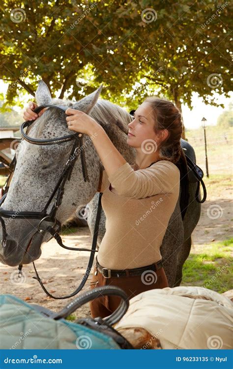 Young Woman Harnessing Horse Stock Image - Image of animal, alone: 96233135