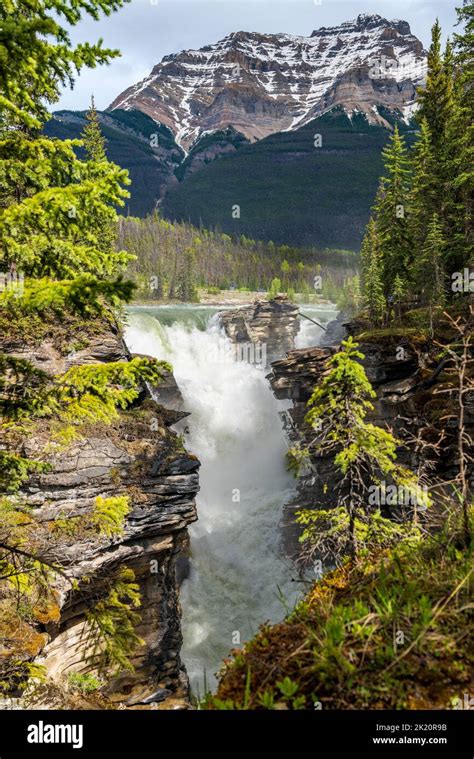 Athabasca Falls; Jasper National Park; Alberta; Canada Stock Photo - Alamy