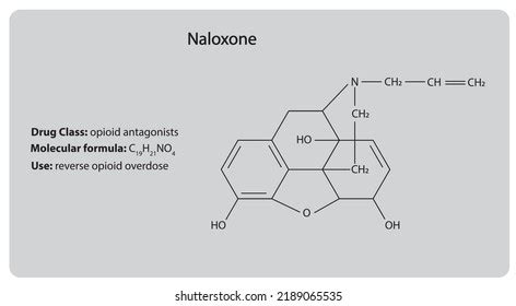 Naloxone Opioid Antagonist Chemical Structure Drug Stock Vector ...