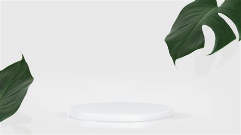 3D Product Presentation Background PSD with White Podium and Monstera ...