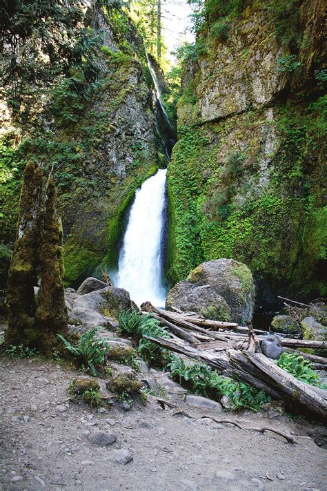 Wahclella Falls Columbia River Gorge easy hikes | Hikes near portland, Hiking near portland ...