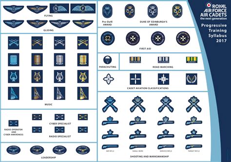 Cadet Insignia - AIR CADET 101