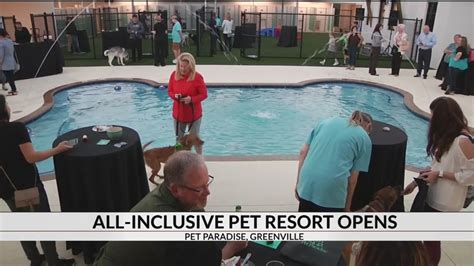 Pet Paradise resort opens in Greenville