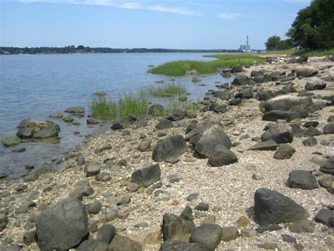 Norwalk Islands « Long Island Sound Study