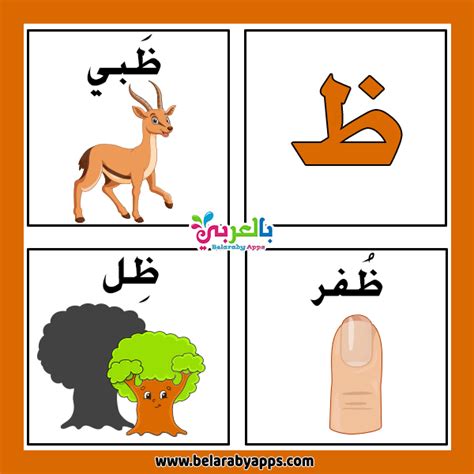 Arabic letter Zaa words flashcard in 2022 | Arabic alphabet for kids, Lettering, Alphabet song ...