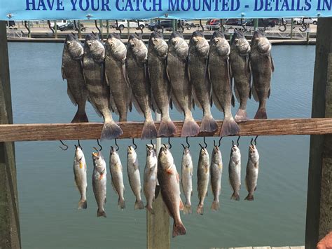 Best Fishing Spots in the Texas Coastal Bend: A Guide for Anglers ...