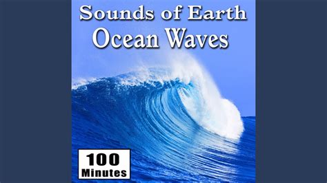 Large Rolling Ocean Waves Crashing on a Beach (Water Ambience Sound ...