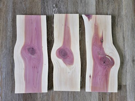 Set of 3 Red Cedar Sign Blanks, Planed and Sanded Live Edge Cedar Boards, Slabs - Etsy