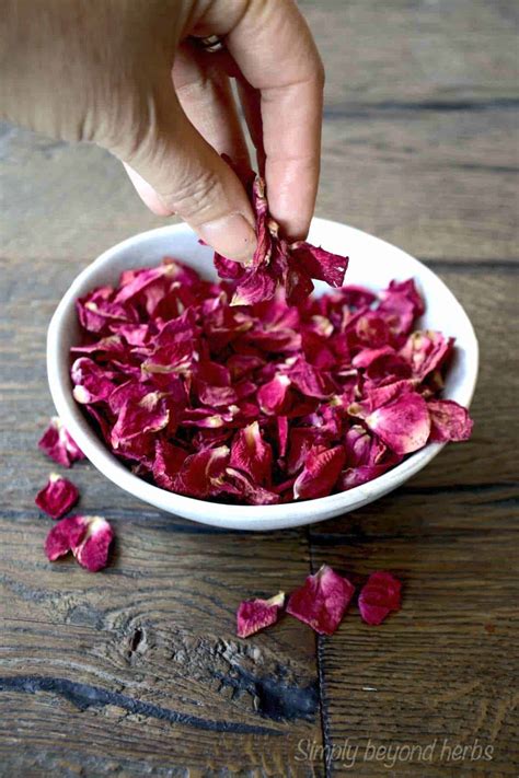 12 Hidden uses of Rose Petals - SimplyBeyondHerbs