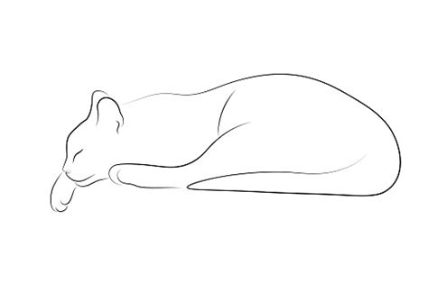 Cat Sleeping Stock Illustration - Download Image Now - Domestic Cat ...