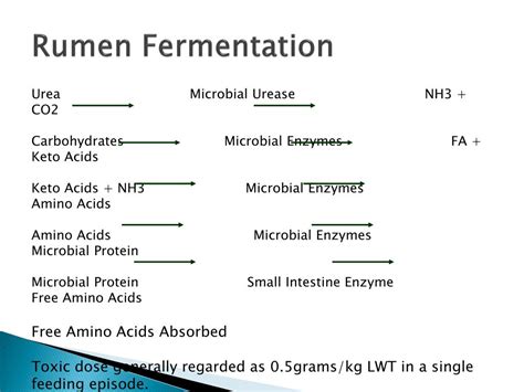 PPT - Rumen Function PowerPoint Presentation, free download - ID:737505