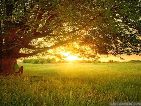 Peaceful Desktop Wallpaper - WallpaperSafari