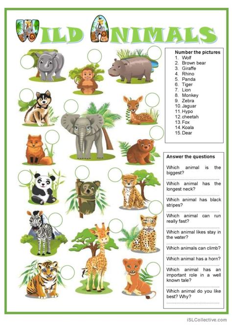 Picture dictionary - Wild animals: English ESL worksheets pdf & doc