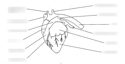 Heart Diagram | Quizlet