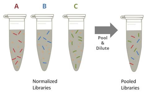 DNA SEQUENCING: ILLUMINA WORKFLOW PART-3 (LIBRARY NORMALIZATION ...