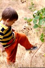 photo: its not karate or kung fu, its his blackberry picking technique MG 0832 - by seandreilinger