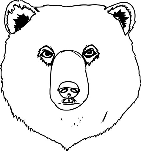 Black Bear Face Drawing at GetDrawings | Free download