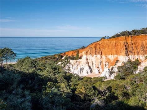 Five-Hour Small Group Tour of Eden | NSW Holidays & Accommodation ...