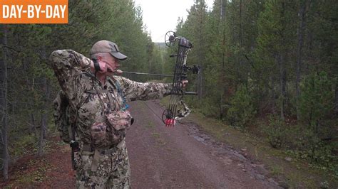 Mastering Elk Hunting: Tips and Insights for a Successful Hunt