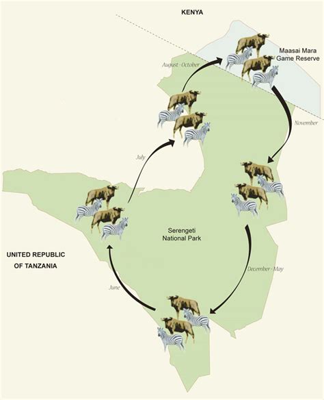 Serengeti Migration (wildebeest trail)