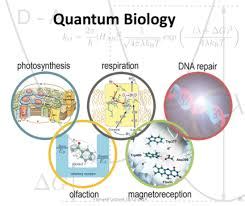 Quantum biology | Mad Scientist Laboratory