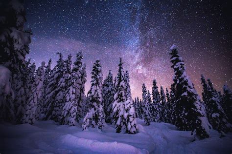 Snowy trees at night Whistler Canada [1800x1200] [OC] | Snowy trees, Night skies, Tree photography