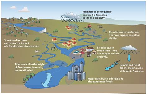 Flood Model | Flood, Flood causes, Flood mitigation