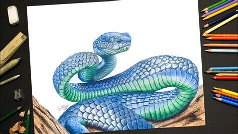 Drawing a Blue Snake - Time Lapse Speed Art - Pencils & Watercolors ...