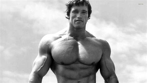 Arnold Schwarzenegger Wallpapers - 4k, HD Arnold Schwarzenegger Backgrounds on WallpaperBat