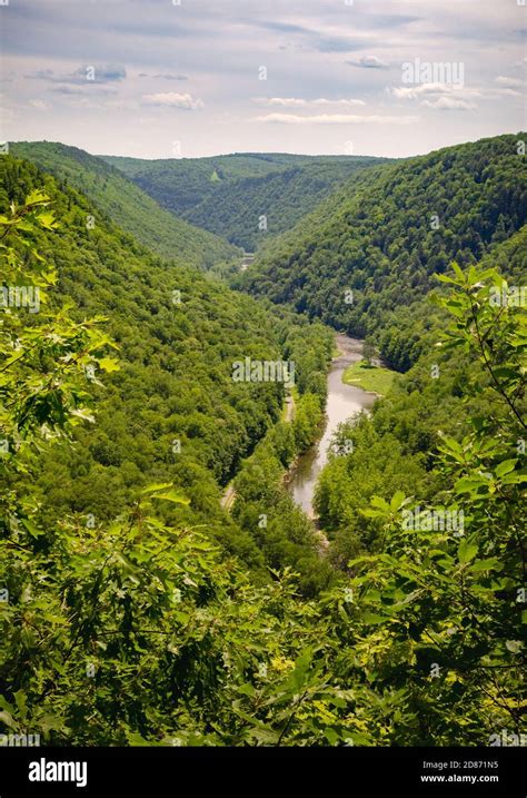 Pine Creek Gorge Stock Photo - Alamy