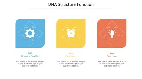 Dna Structure Function Ppt Powerpoint Presentation Ideas Slide Download ...