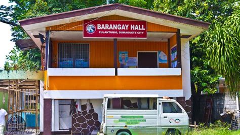 Dumaguete Pulantubig 2017 Barangay Hall | Dumaguete, We bare bears wallpapers, Asap rocky wallpaper