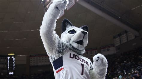 UConn Huskies Roundup - 11/13/16 - The UConn Blog