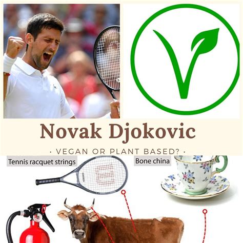 Why is Djokovic Plant based but not Vegan?