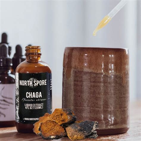 Dual-Extracted Chaga Mushroom Tincture | North Spore