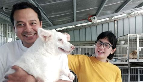 John Lloyd Cruz and artist Isabel Santos visit a dog shelter, looking to adopt a rescue | GMA ...