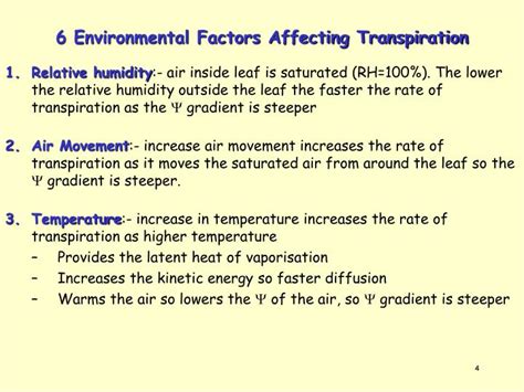 PPT - Transpiration PowerPoint Presentation - ID:2991002