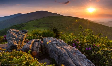 Download wallpaper Roan Mountain State Park, Roan Mountain, Appalachian Mountains, Tennessee ...