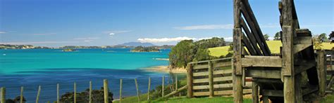 Martins Bay Holiday Park, Camping & Beach Accommodation, north of Auckland, New Zealand