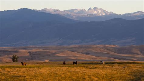 Explore The Region - Sheridan, Wyoming Travel and Tourism