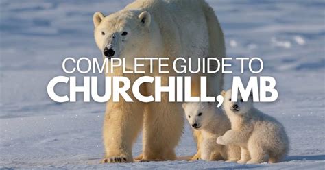 The COMPLETE Guide for Visiting Churchill, Manitoba