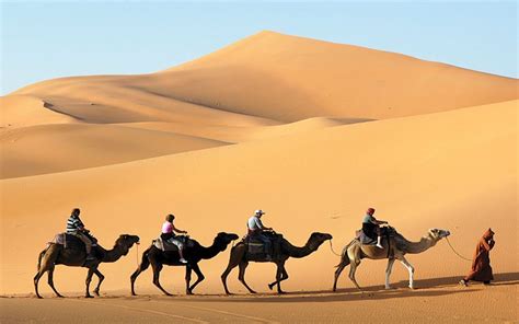 Jaisalmer Desert Safari – Your Essential Guide