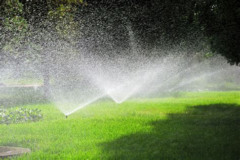 Summer lawn care | watering, mowing, etc. | HireRush Blog