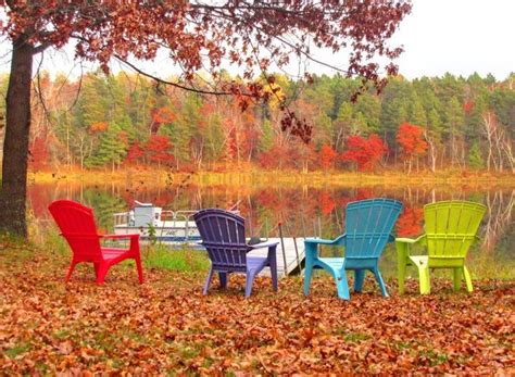 Take a seat and enjoy the view of fall colors! | Fall colors, State ...