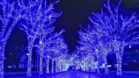 Blue Cave Shibuya Returns to Illuminate Tokyo's Winter Nights