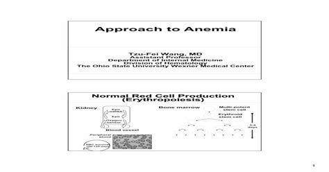Approach to Anemia Final -Handout to Anemia Final - 2.pdf3 Anemia with low/normal reticulocyte ...