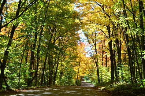 Fall Colors In Algonquin Park 2014